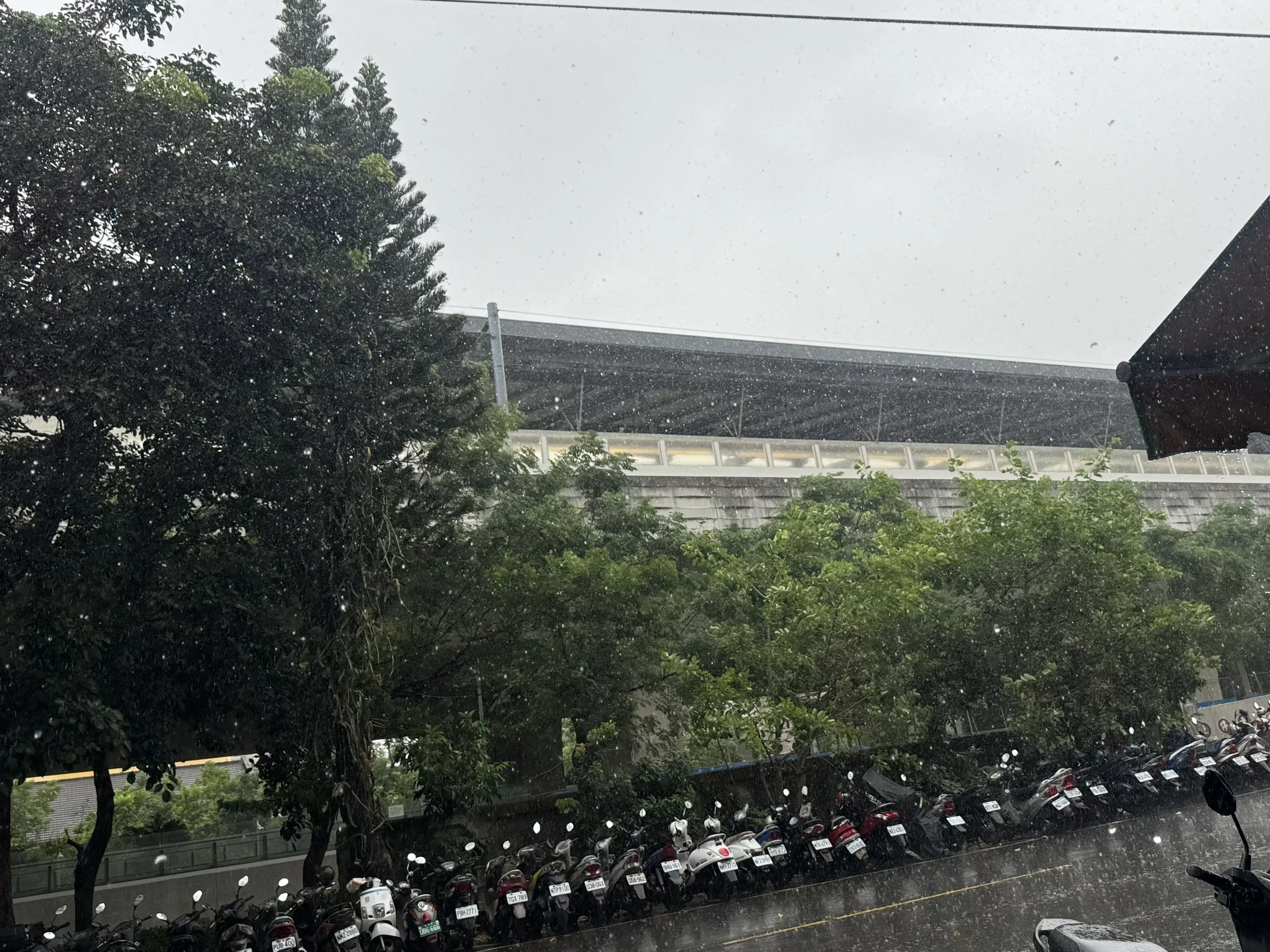 路樹修剪